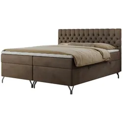 Boxbett mit Bettkasten Grimaldi , braun , Maße (cm): B: 164 H: 115