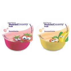 NUTRINI Creamy Fruit Mischkarton 32X100 g