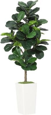 YUN 5ft Artificial Fiddle Leaf Fig Tree with Pot, Realistic Faux Ficus Plant for Living Room Bedroom Decor - 150CM