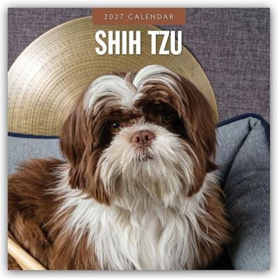 Shih Tzu 2027 – 16-Monatskalender