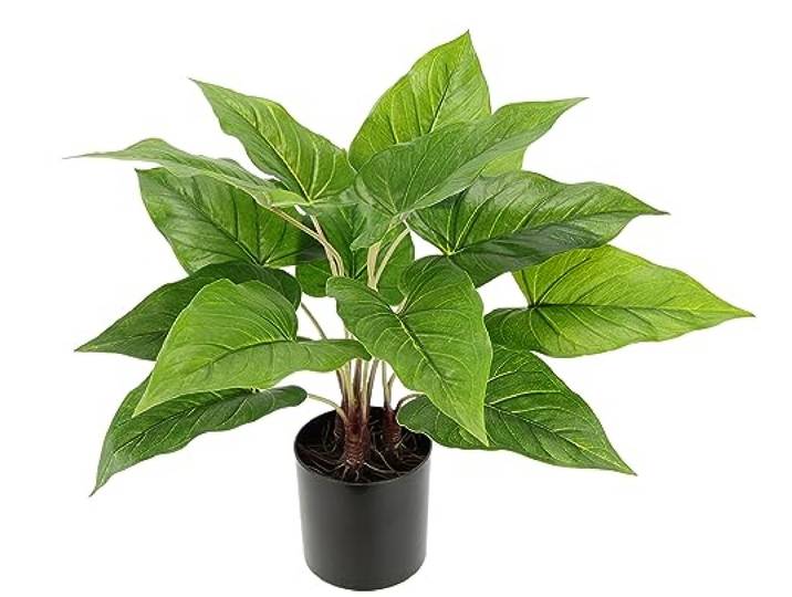Künstliche Pothos Pflanze im Topf Anthuriumblattpflanze Efeutute Photospflanze Zimmerpflanze Deko Seidenblume Pflanzen Kunstpflanze Dekopflanze Grünpflanze Büropflanze Kunstpflanze Blattpflanze Busch