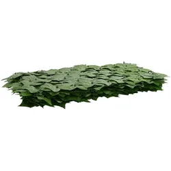 vidaXL, Sichtschutz, Eckersbach (mit Weinblättern) (75 cm)