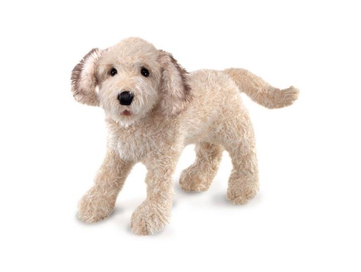 Folkmanis Handpuppen Handpuppe Folkmanis Handpuppe Hund Labradoodle 3136 (Packung)