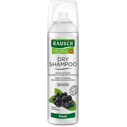 RAUSCH DRY SHAMPOOO Fresh 150 ml