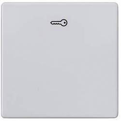 Siemens Schalterprogramm 1fach Aluminium 5TG6248 1 St.