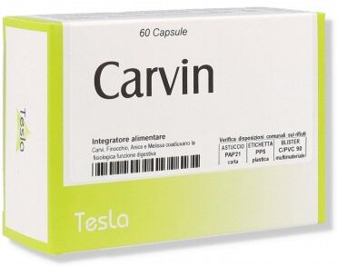 TESLA Sas di Dr.Zucchi & CARVIN 60CPS