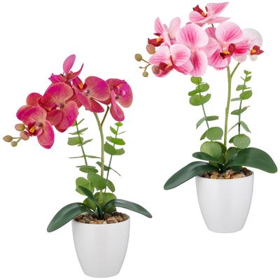 Kunstorchidee CREATIV GREEN "Orchidee Phalaenopsis", bunt, H:40cm, Kunststoff, Kunstpflanzen, mit Eukalyptuszweigen