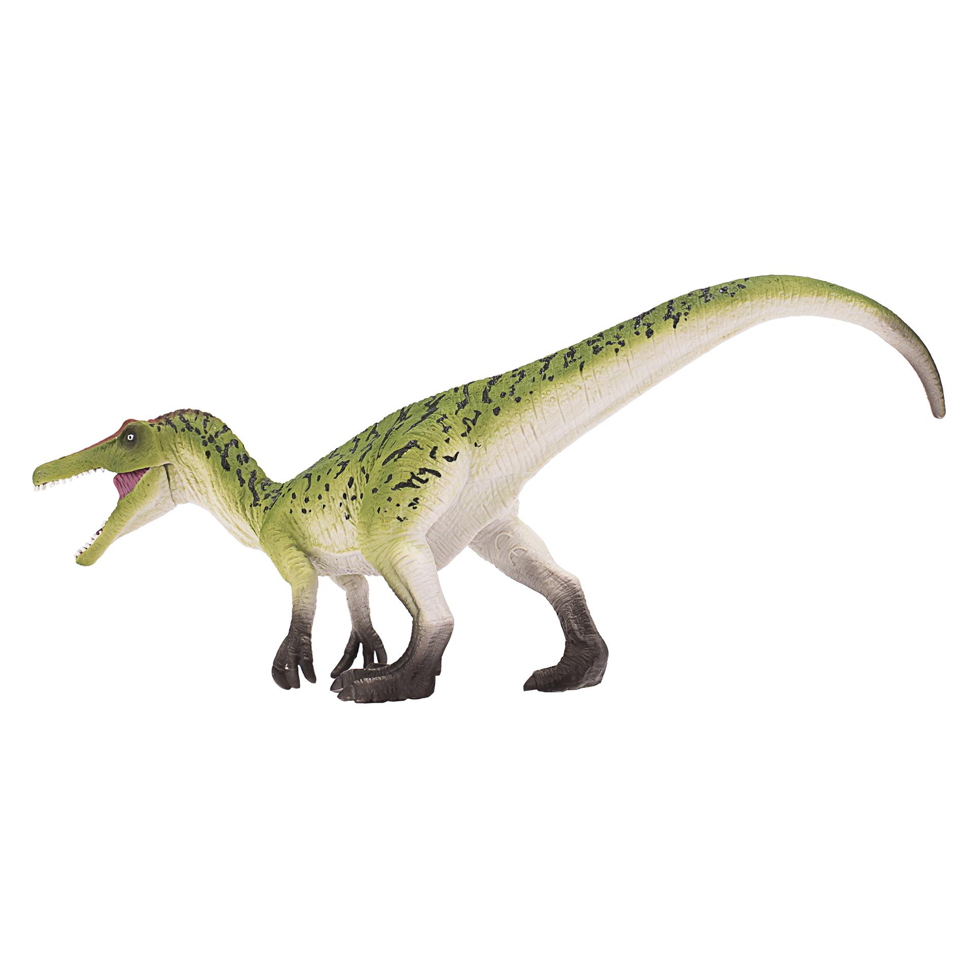 small foot Baryonyx mit Gelenkkiefer (387388)