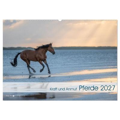 Pferde 2027 Kraft und Anmut (Wandkalender 2027 DIN A2 quer), CALVENDO Monatskalender