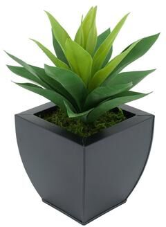 House of Silk Flowers Faux Frosted Light Green Succulent in Tapered Zinc Planter