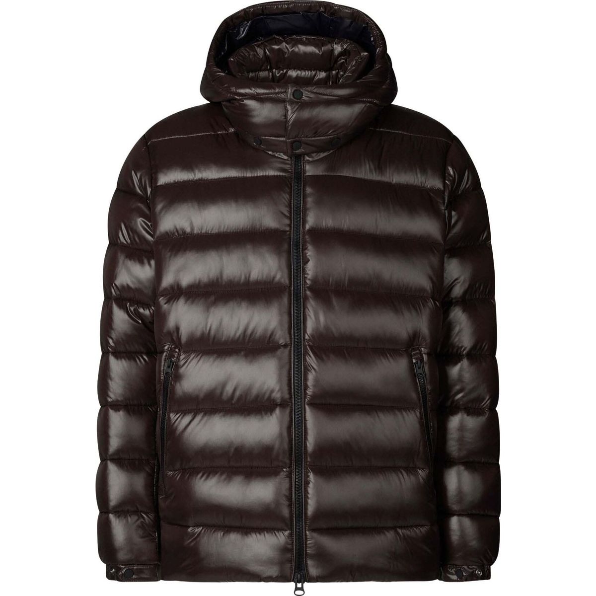 Save the Duck Florian brown black (40009) XXL D31653M-LOVE21-40009-XXL