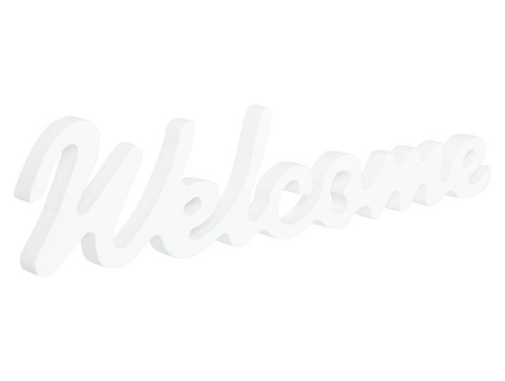 Schriftzug magnetis. Welcome weiss