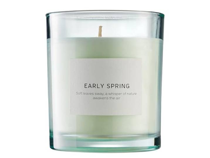 BUTLERS Duftkerze Early Spring Glas - PURE POETRY - 40h Brenndauer Note Basilikum & Eukalyptus - ø9 x H10 cm - Wellnesskerze zur Raumbeduftung - Raumduft-Kerze für Büro & Flur