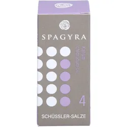 Schüssler 4 Kalium Chloratum D6 10 G