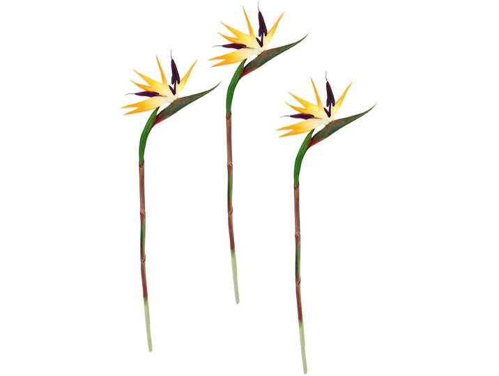 Kunstblume I.GE.A. Künstliche Blume Strelitzie Paradiesvogelblume Exotischer Dekozweig , orange, B:22cm H:85cm L:4cm, Kunststoff, Kunstpflanzen, Kunstblume, Zweig Einzelblume Dekoblume Stielblume Hochzeit Dekoration
