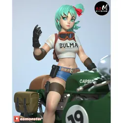 Bulma P1 | ESMonster