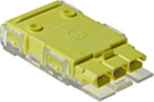 Molex Buchsengehäuse-Kabel 194210001