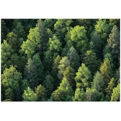 FOTOTAPETE Wald Bäume Natur Vlies Tapete Wohnzimmer 150x105