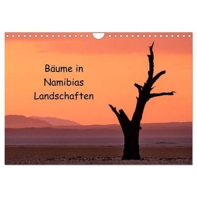 Bäume in Namibias Landschaften (Wandkalender 2027 DIN A4 quer), CALVENDO Monatskalender