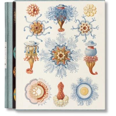 The Art and Science of Ernst Haeckel, Gebundene Ausgabe von Julia Voss,Rainer Willmann, Taschen, 978-3-7544-0610-6