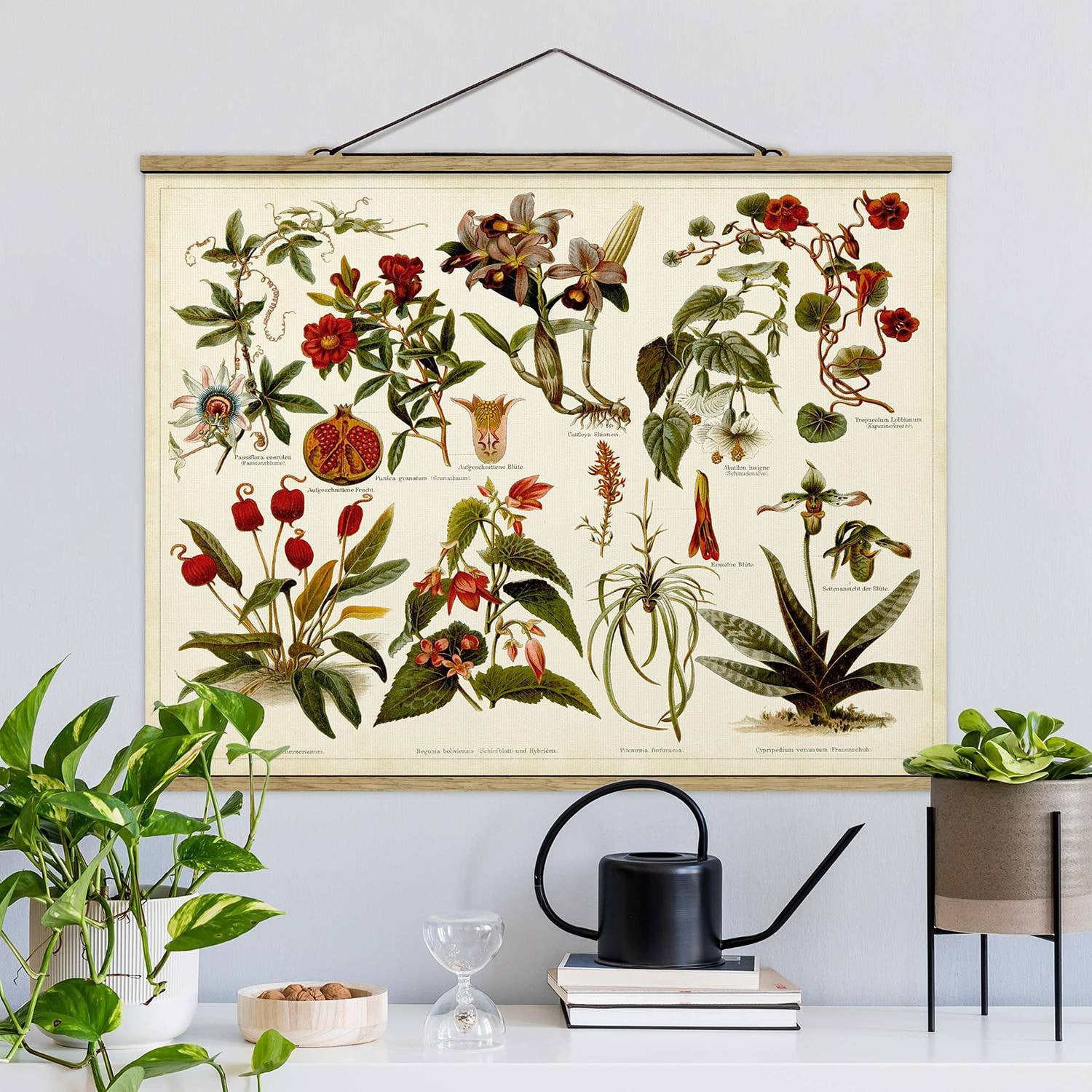 home24 Wandkleed Tropische Plantkunde II met botanische illustraties, multicolor, B: 80 cm, H: 60 cm
