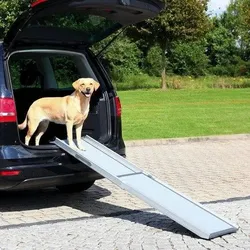 TRIXIE 2-fach Teleskop-Rampe, Aluminium/Sandpapier 43×100-180 cm