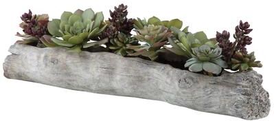 Uttermost Charita Lush Succulents