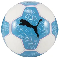 Puma, Fussbälle