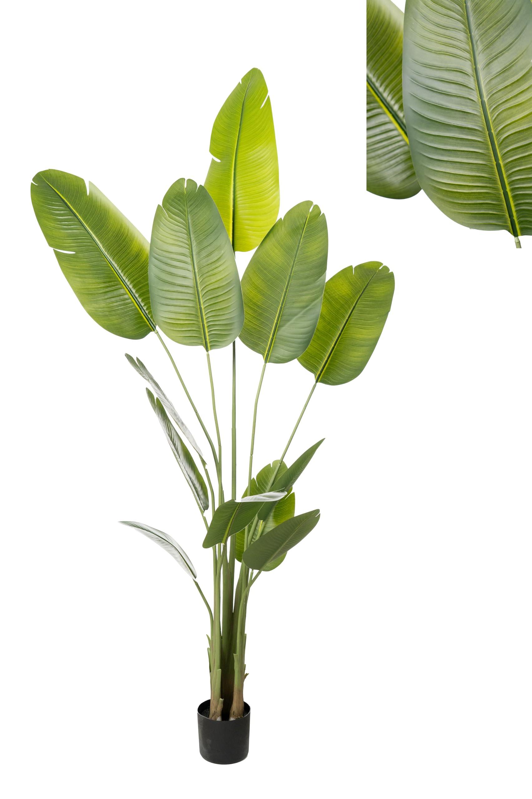 Blumentopf Strelitzia, mehrfarbig, handbetrieben, 1 Stück
