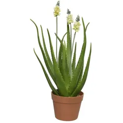 Kunstpflanze AGAVE (DH 13x13 cm) - grün - DH 13x13 cm