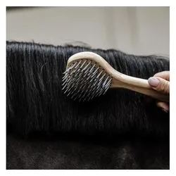 Grooming Deluxe, Pferdeputzzeug