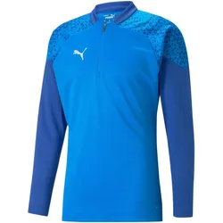 PUMA teamCUP Training 1/4-Zip Top Herren 02 - electric blue lemonade XL