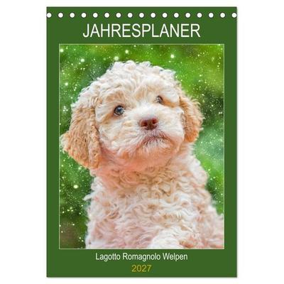 Jahresplaner Lagotto Romagnolo Welpen (Tischkalender 2027 DIN A5 hoch), CALVENDO Monatskalender