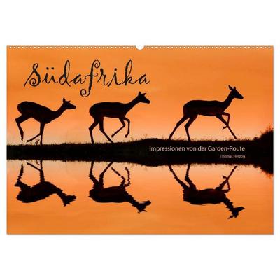 SÜDAFRIKA - Impressionen von der Garden Route (Wandkalender 2026 DIN A2 quer), CALVENDO Monatskalender