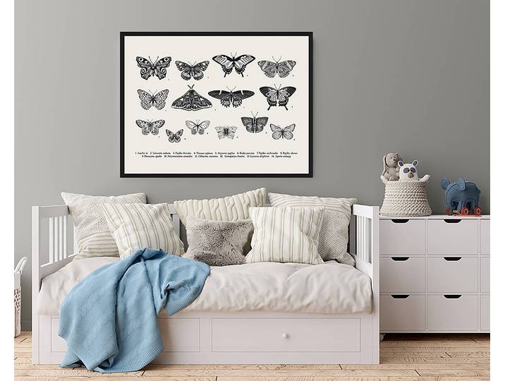 Tableau déco Butterfly Collection 63 x 83cm Multicolore
