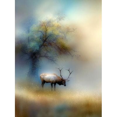 CALVENDO Puzzle Der Hirsch - der König des Waldes verharrt leise im Nebel | 2000 Teile Lege-Größe 90x67cm Foto-Puzzle für glückliche Stunden, Sonstige