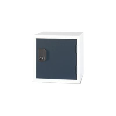CEHA Büro- und Schließfachwürfel 38 x 38 cm mit Gestell in lichtgrau und Tür in anthrazitgrau