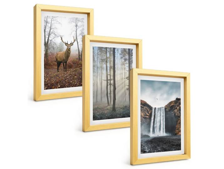 BILDER SET 3er Set - 20x30 cm Goldrahmen - Waldlandschaften, wilde Natur