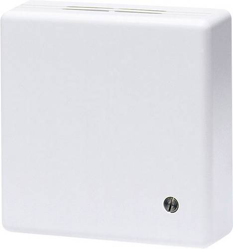 Eberle 101110250102 RTR-E 3545 Raumthermostat Aufputz Heizen 1St.
