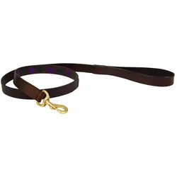 Weatherbeeta Polo (M, Hund, Spazieren), Halsband + Leine