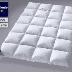 Billerbeck »308 Ambiente« Daunendecken Mono 135x200 cm 455g
