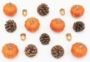 Nearly Natural 8-pc Artificial Autumn Harvest Assorted Fall Pumpkin Decor - Set of 2