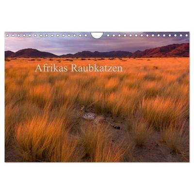Afrikas Raubkatzen (Wandkalender 2027 DIN A4 quer), CALVENDO Monatskalender