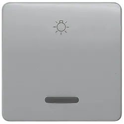 Siemens 5TG7926 DELTA profil Wippe mit Fenster und Symbol Licht, silber
