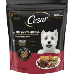 Cesar Rind & Geflügel 5x1 kg