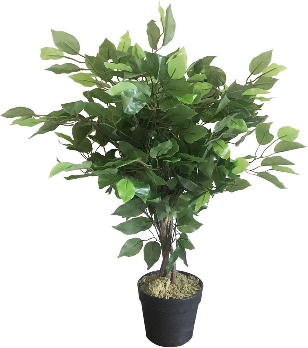 Kunstboom Ficus Groen - 60 cm