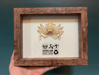 Inspire Picks Real Crab Specimen Display Handcrafted Natural Collector Decor With Custom Options with Frame 6