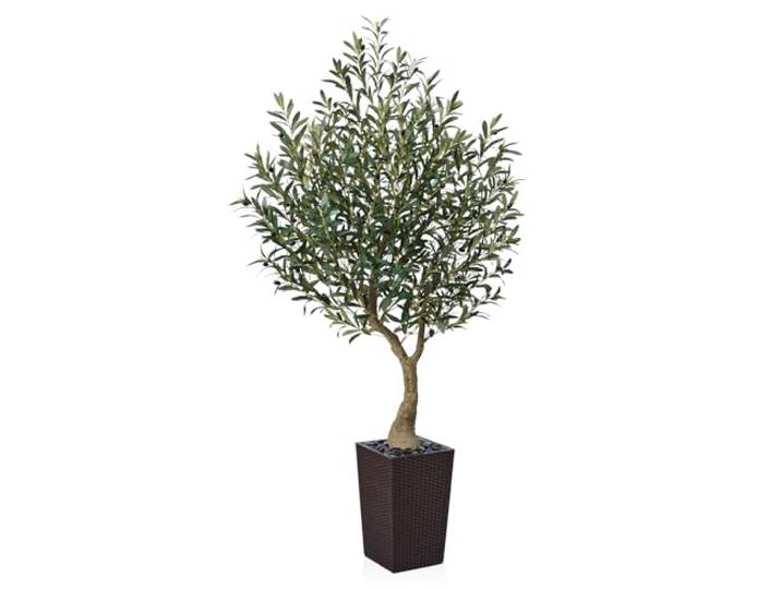 VeriNatural Olivenbaum Künstlich 180 cm Braun Kegelformiger Topf 1 Stück