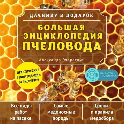 Bolshaya entsiklopediya pchelovoda - Aleksandr Ocheretniy, Audio, 9785041734022