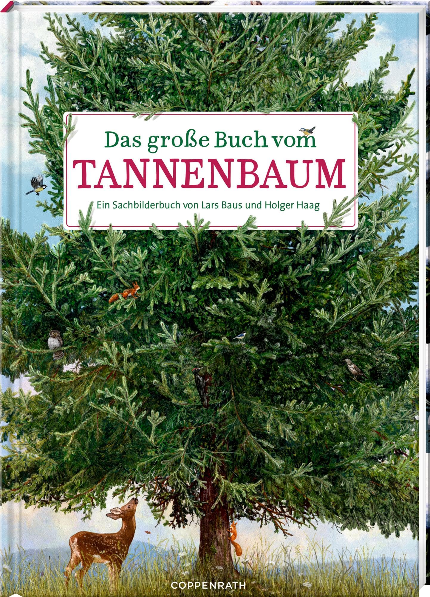 Holger Haag - Das große Buch vom Tannenbaum - Preis vom 16.10.2026 11:41:07 h